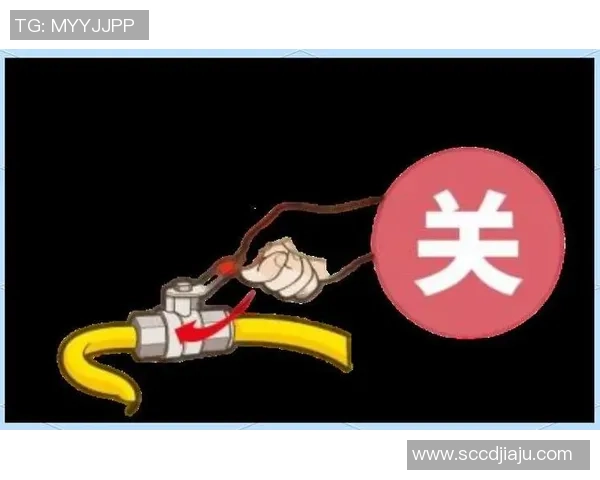 杨芳独家分享篮球心得与技巧助你提升球技的全面指南